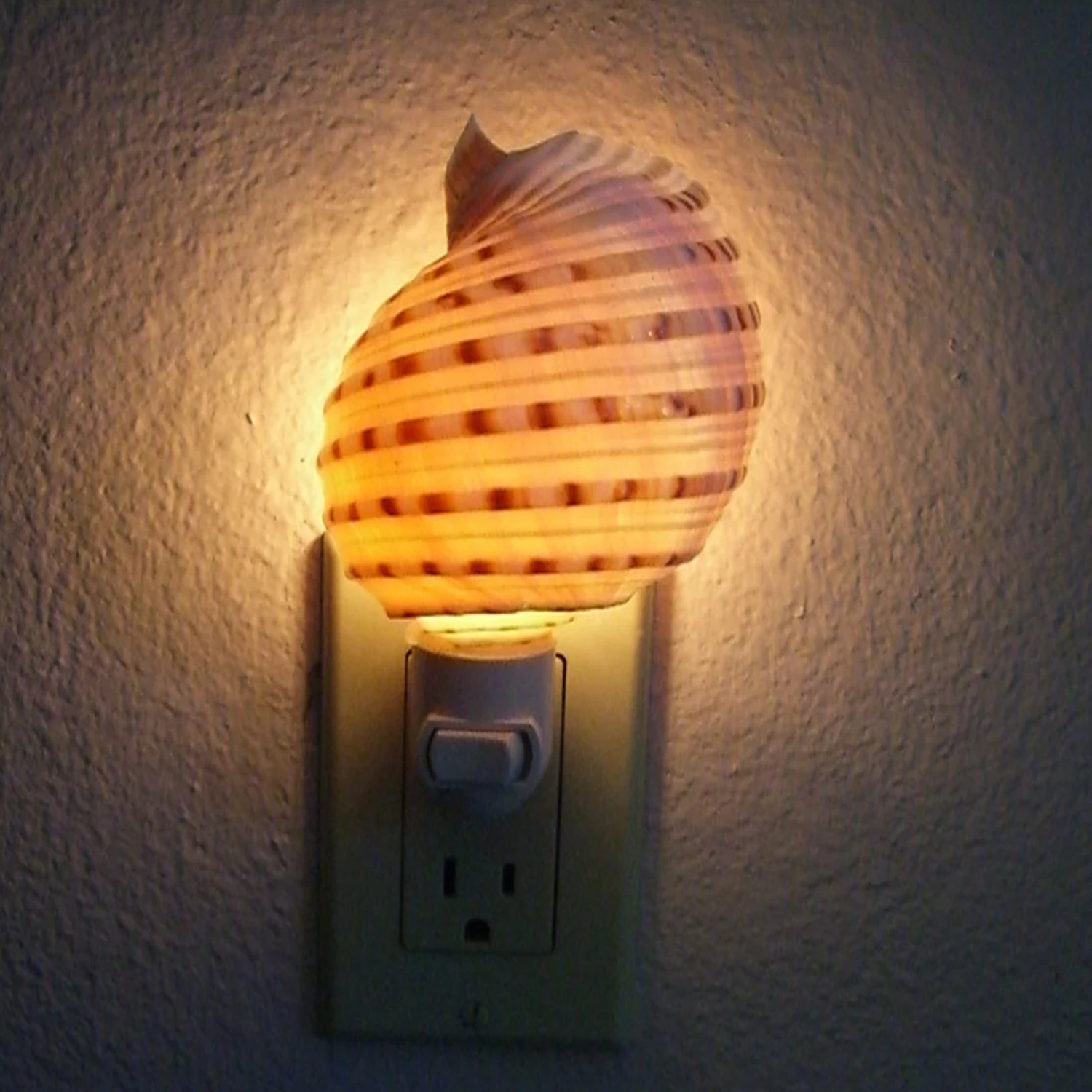 Banded Seashell Plug‑In Nightlight Coastal‑Style Wall Accent Light For Indoor Spaces