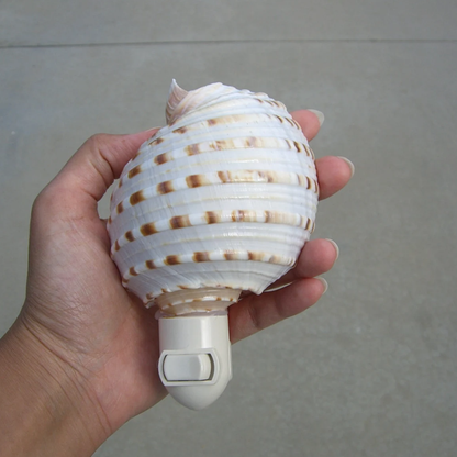 Banded Seashell Plug‑In Nightlight Coastal‑Style Wall Accent Light For Indoor Spaces