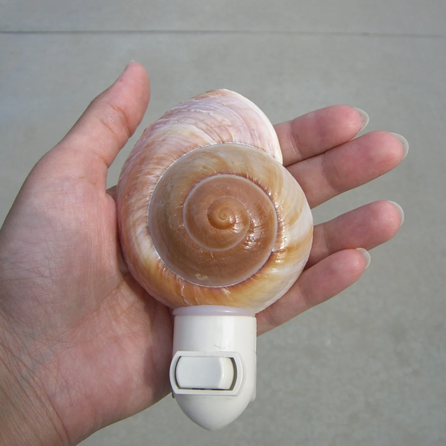 Spiral Snail‑Shell Plug‑In Night Light Coastal Themed Wall Decor For Household Interiors