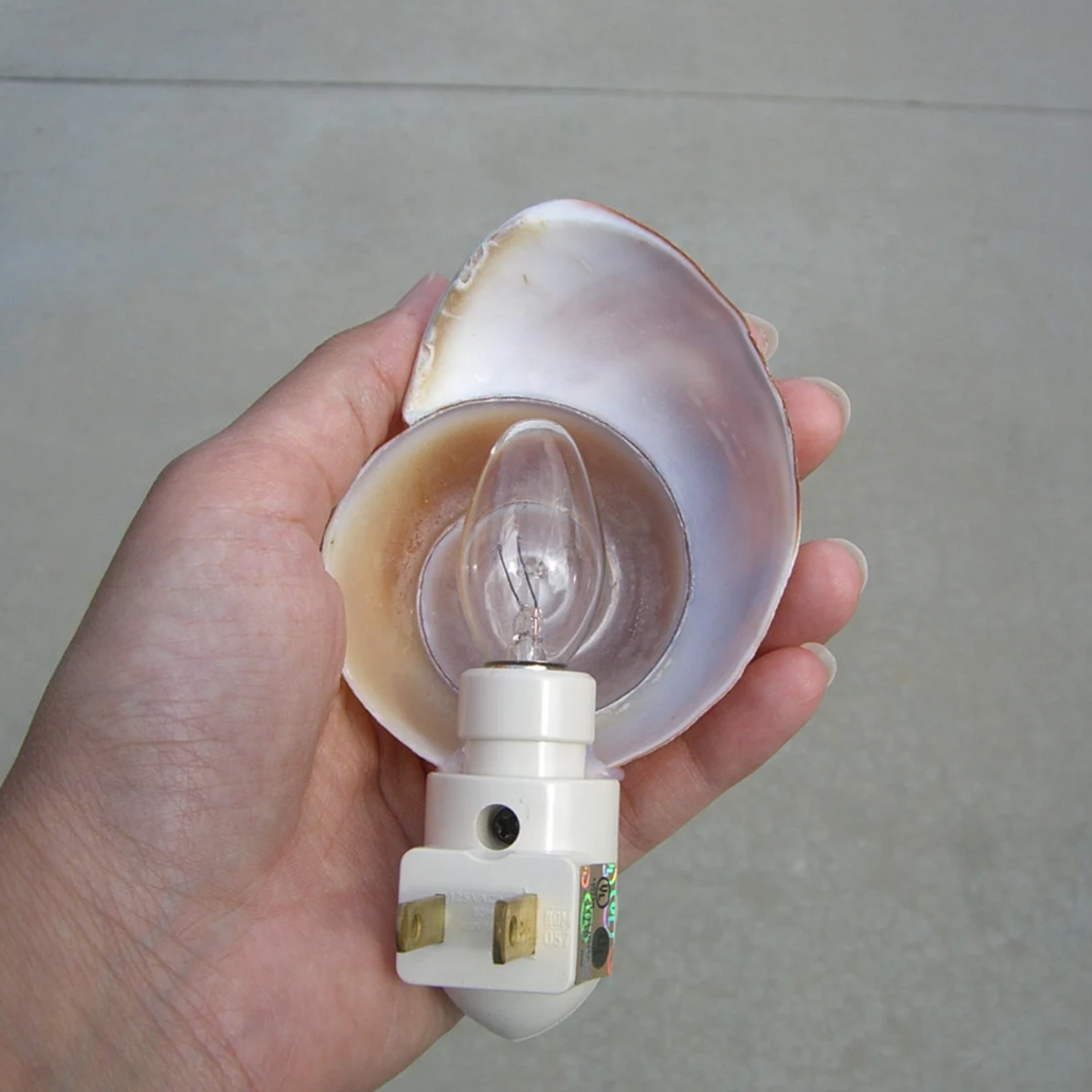 Spiral Snail‑Shell Plug‑In Night Light Coastal Themed Wall Decor For Household Interiors