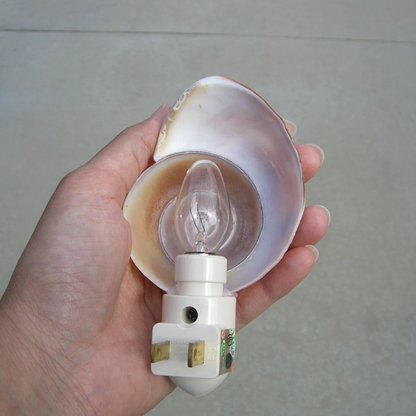 Spiral Snail‑Shell Plug‑In Night Light Coastal Themed Wall Decor For Household Interiors
